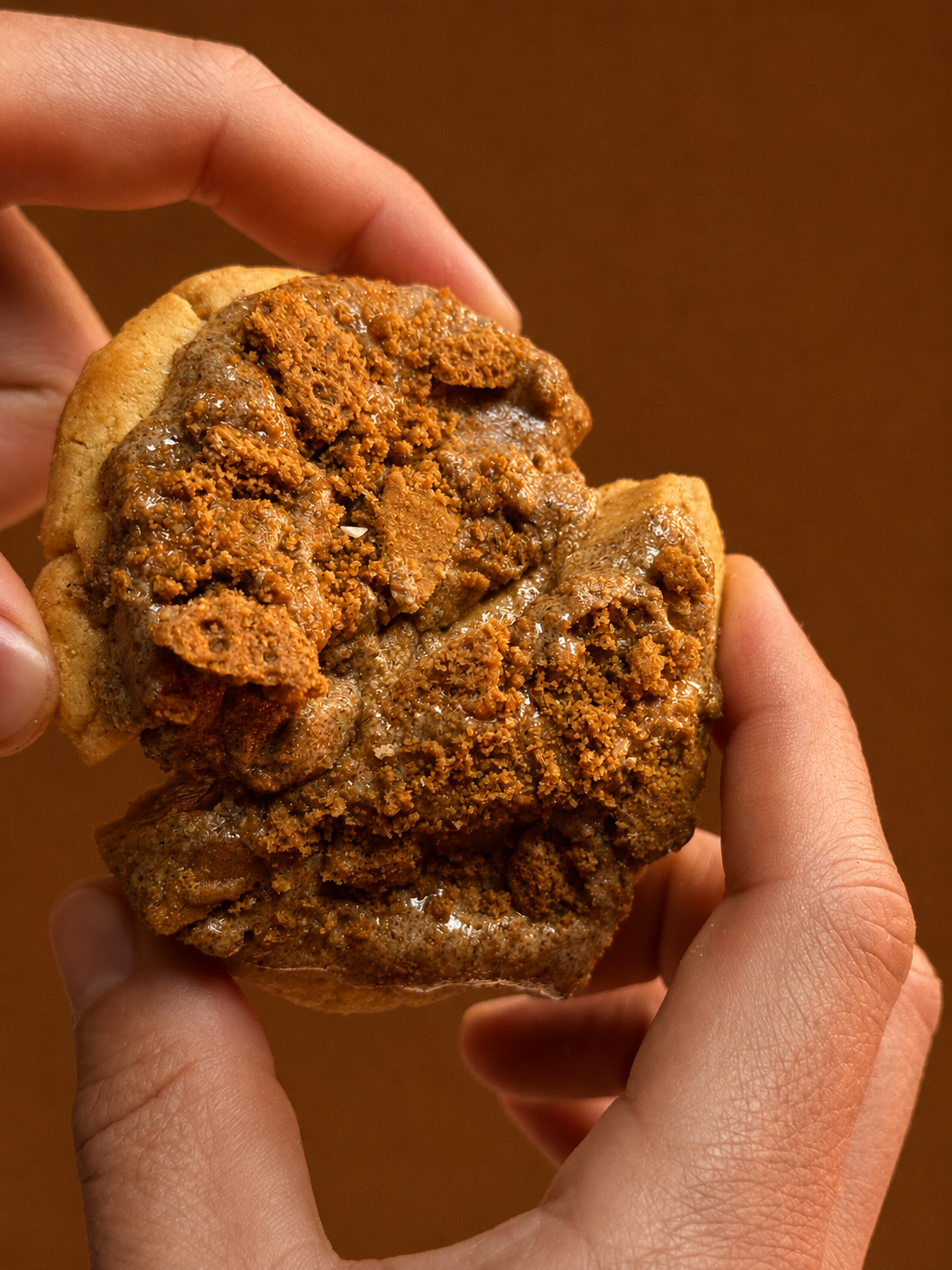 SPECULOOS
