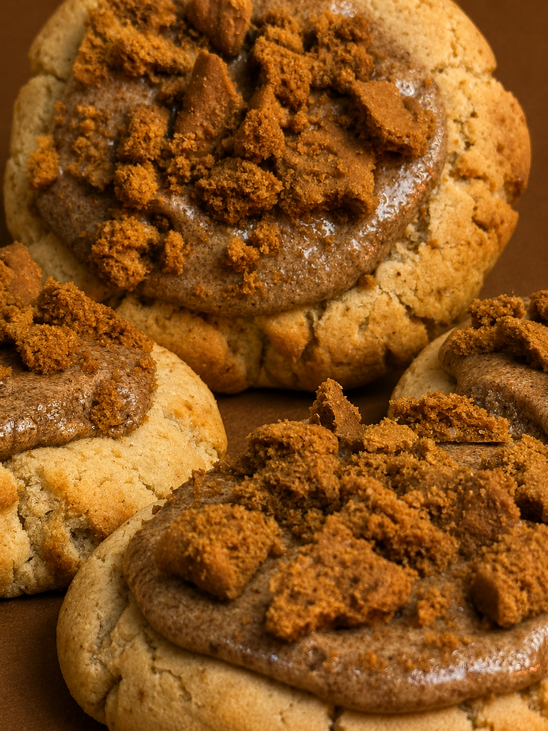 speculoos x3